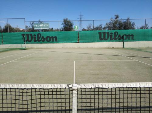 55719242_2094634637501389_8081616914641584128_n